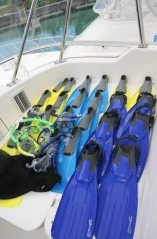 Морские прогулки на Сейшелах. Катер Riviera 42